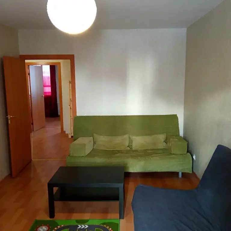 2-к кв. Санкт-Петербург пос. Парголово, Заречная ул., 45к2 (77.0 м) - Фото 1