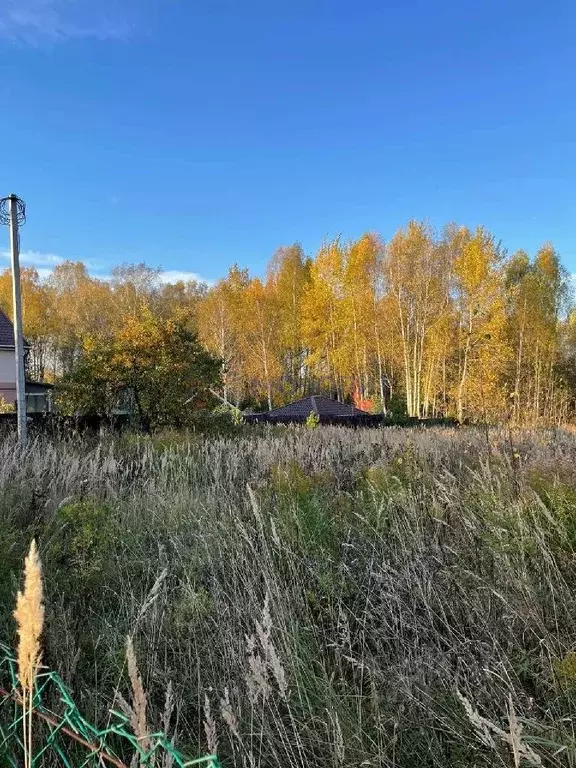 Участок в Нижегородская область, Дальнеконстантиновский муниципальный ... - Фото 0