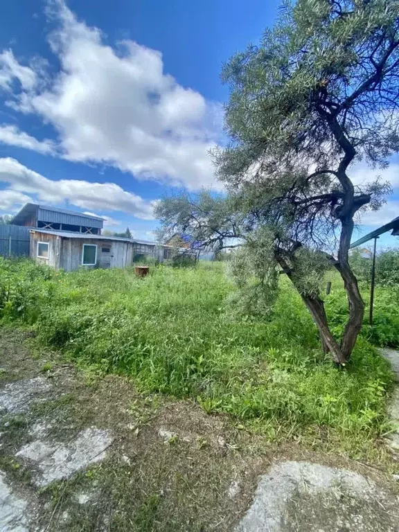 Дом в Тюменская область, Тюменский муниципальный округ, пос. ... - Фото 1