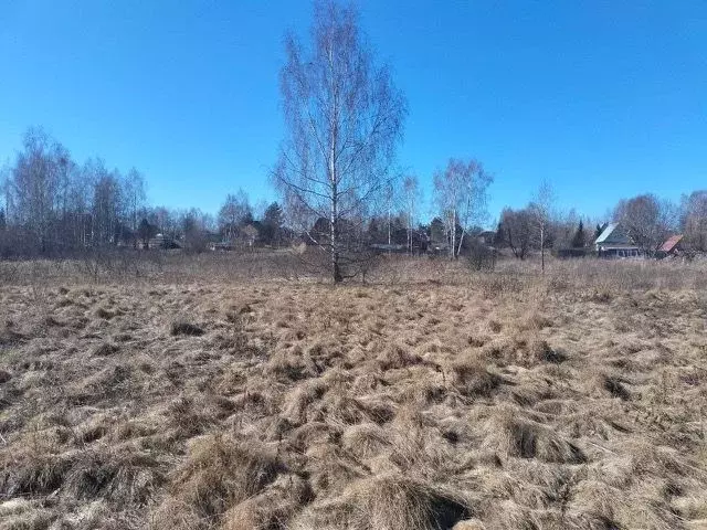 Участок в Владимирская область, Петушинское муниципальное образование, ... - Фото 0