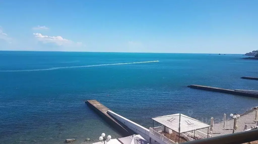 Студия Крым, Алушта муниципальный округ, пос. Чайка ул. Багрова (20.0 ... - Фото 2