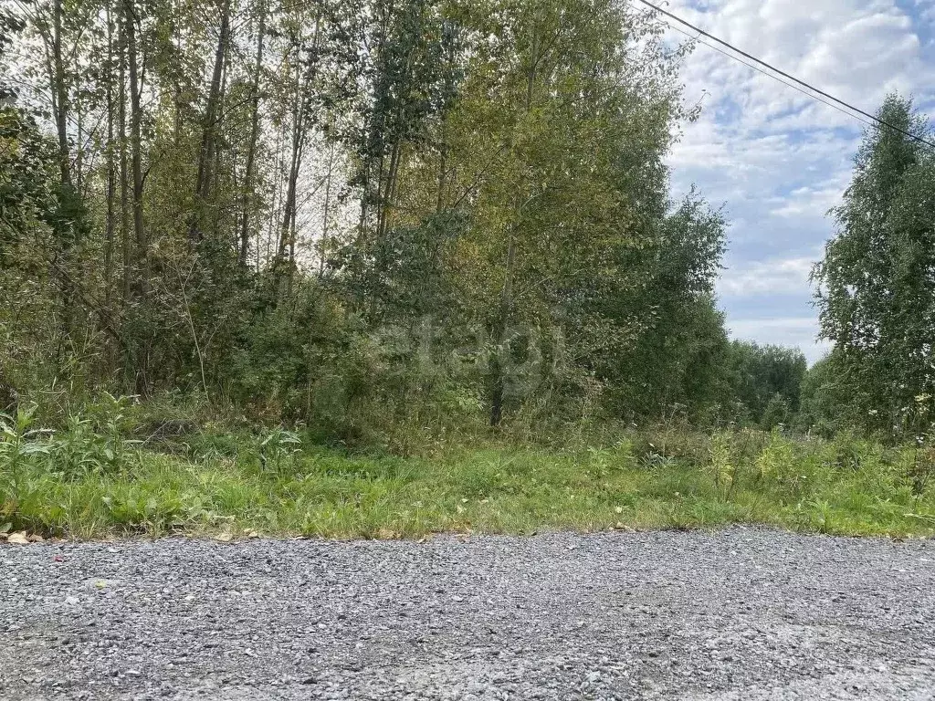 Участок в Тюменская область, Тюмень Звенящие Кедры Тюмени ДНП, ул. ... - Фото 1