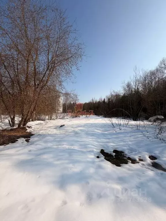 Участок в Московская область, Пересвет Сергиево-Посадский район, ул. ... - Фото 1