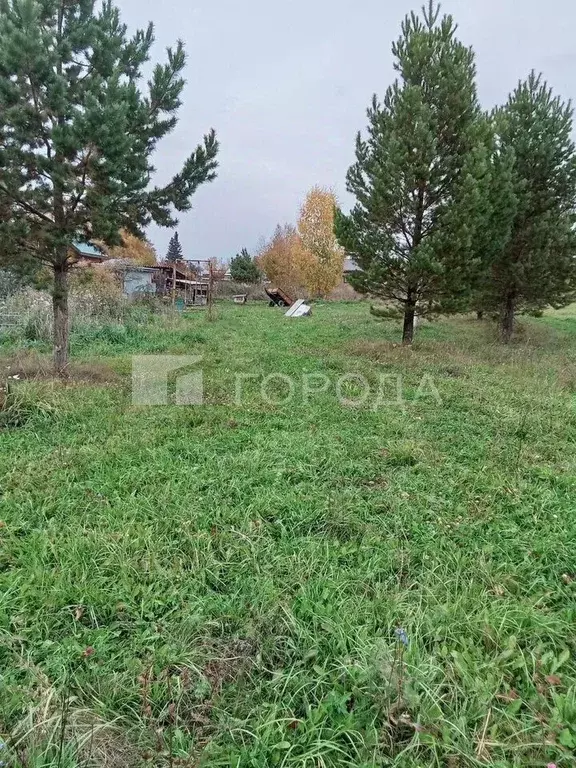Участок в Новосибирская область, Новосибирский район, Станционный ... - Фото 2