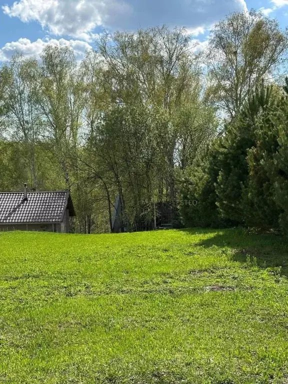 Участок в Новосибирская область, Мошковский район, Индия кп  (6.0 ... - Фото 1