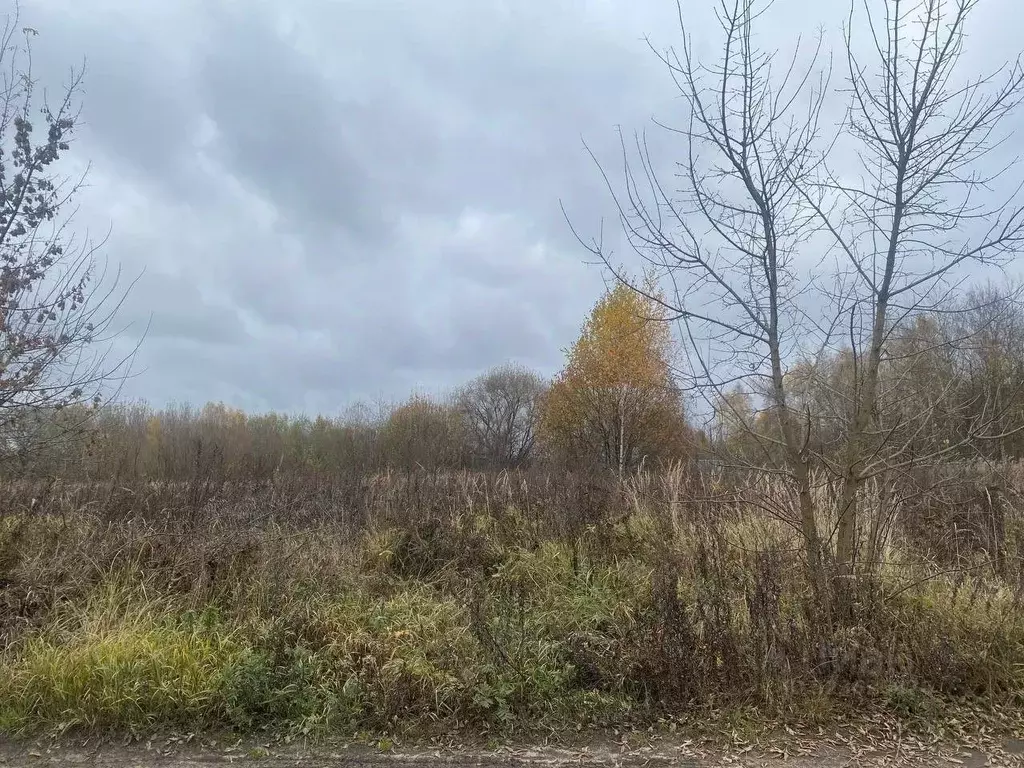 Участок в Московская область, Орехово-Зуевский городской округ, д. ... - Фото 1