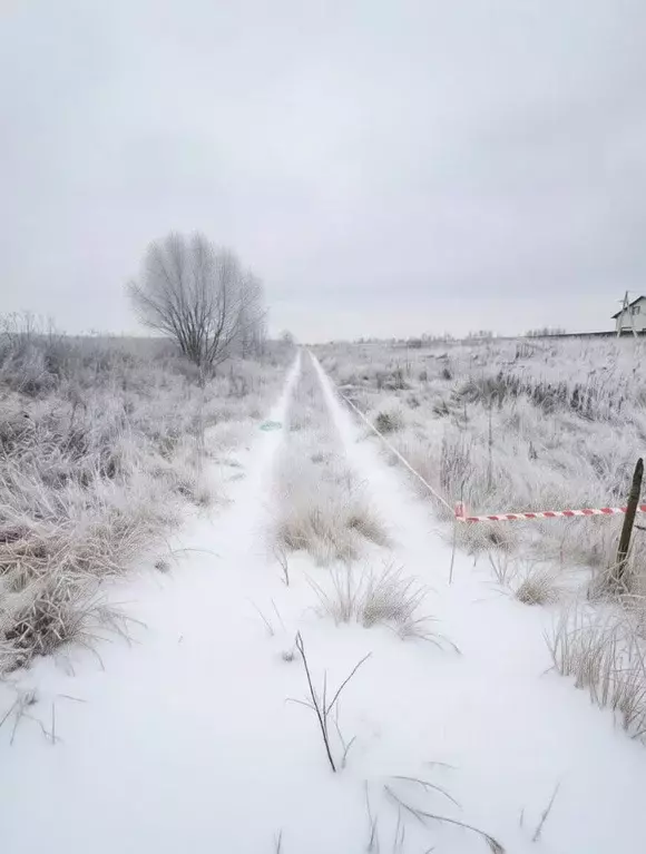 Участок в Тульская область, Узловая ул. Квасникова (12.0 сот.) - Фото 1
