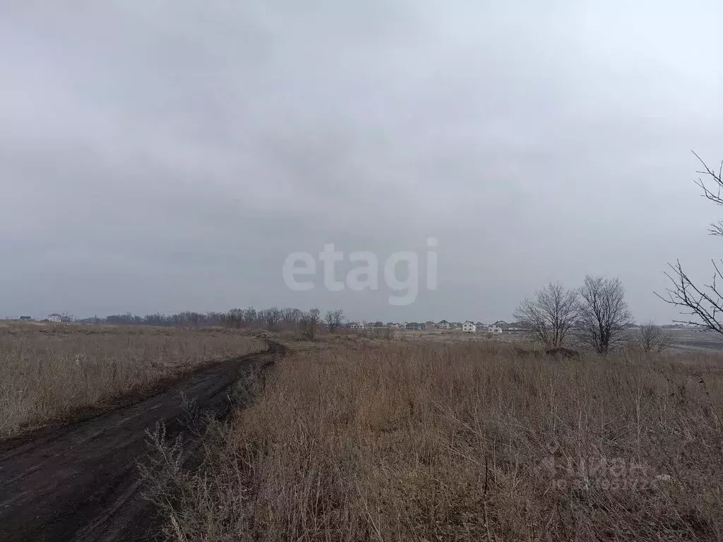 Участок в Курская область, Конышевский район, Прилепский сельсовет, с. ... - Фото 1