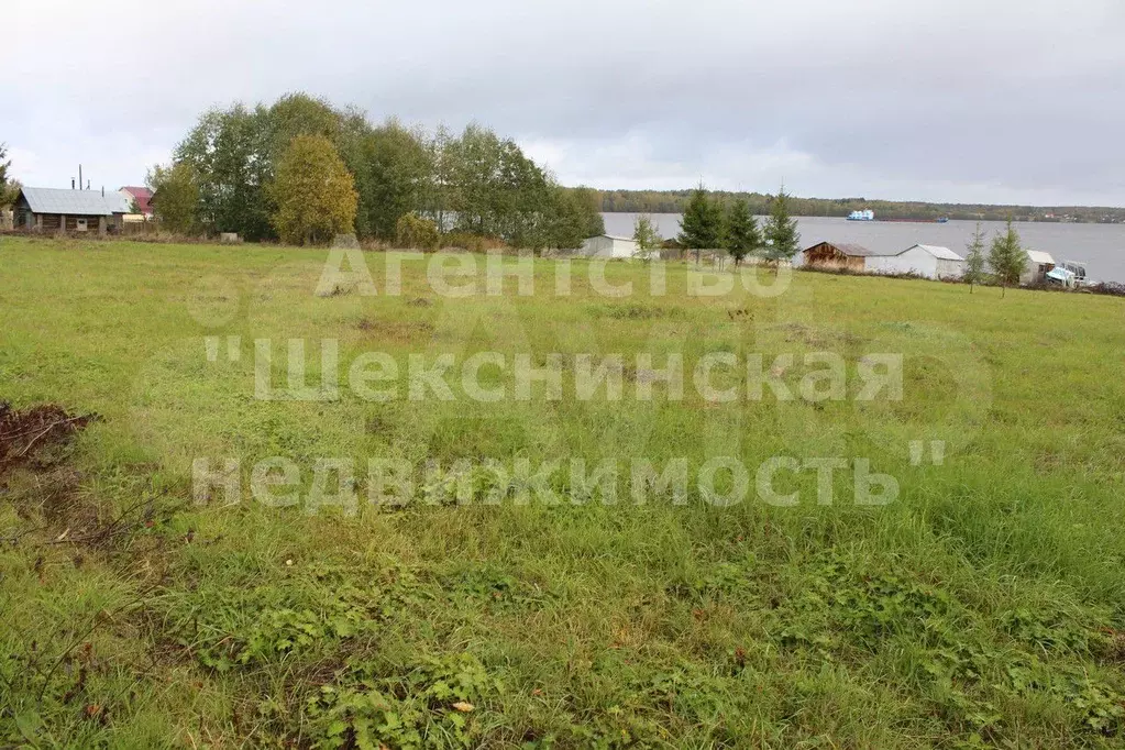 Шекснинский р он. Шекснинский р он. Шекснинский р он. Шекснинский р он. Шекснинский р он.