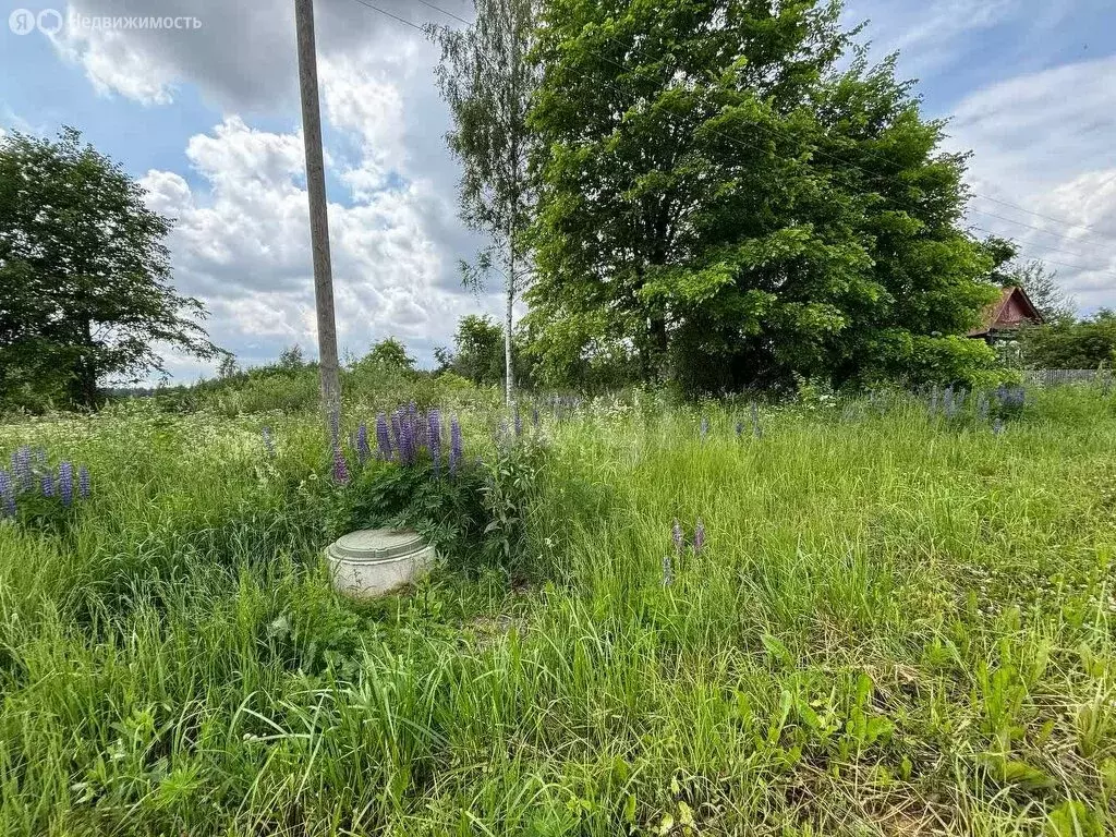 Участок в муниципальное образование Ивановское, деревня Уваровка, ... - Фото 0