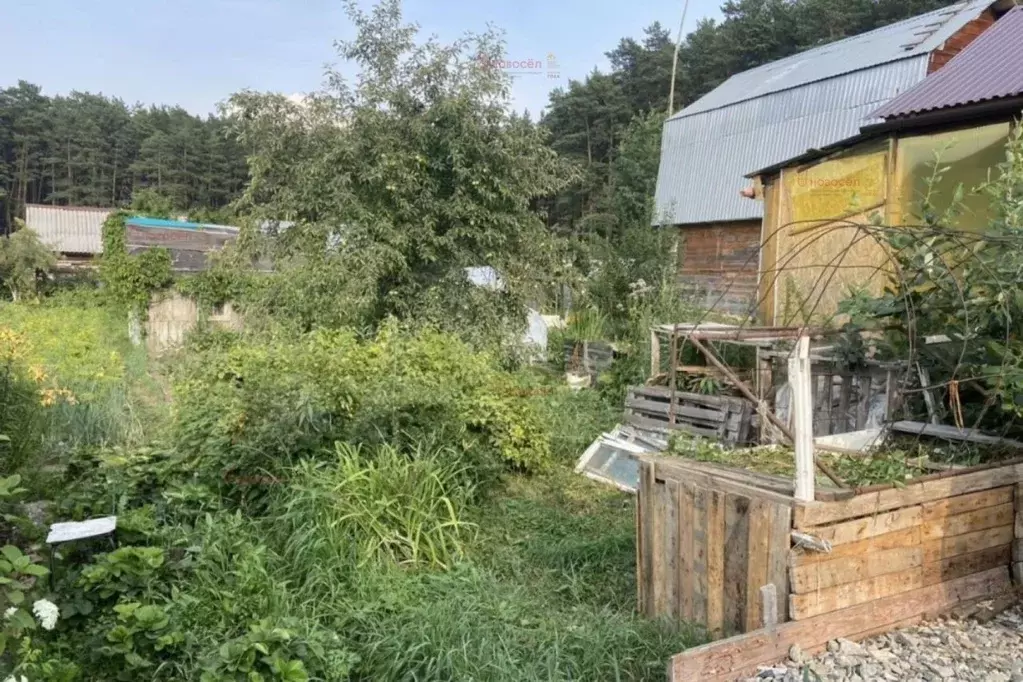 Участок в Свердловская область, Березовский № 8 КС,  (2.0 сот.) - Фото 0