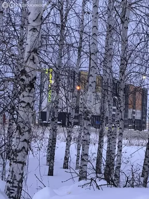 Участок в Ульяновск, СНТ Пригородный (5.82 м) - Фото 2