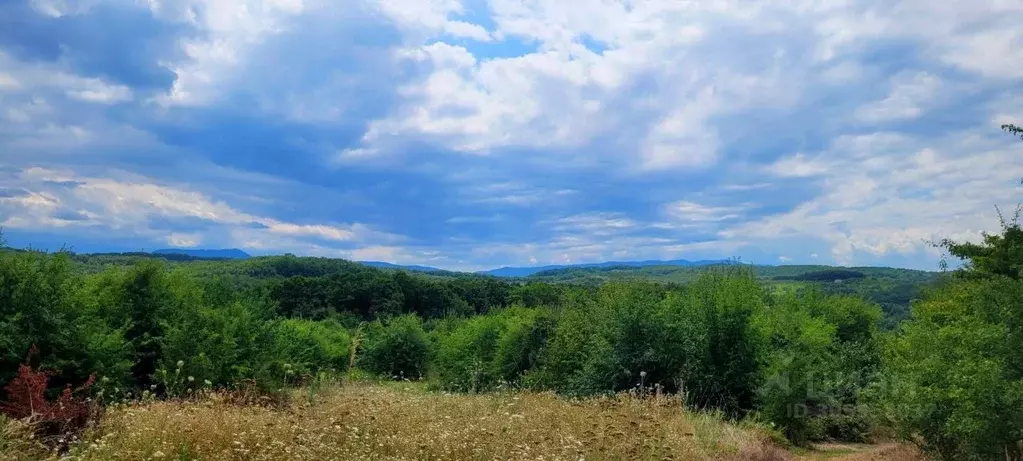 Участок в Краснодарский край, Северский район, Ильское городское ... - Фото 1