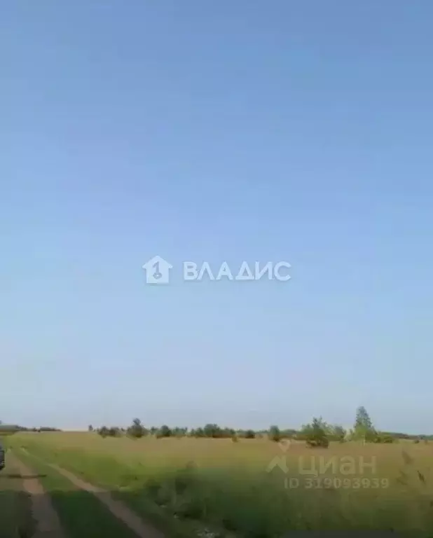 Участок в Татарстан, Зеленодольский район, Большеякинское с/пос, с. ... - Фото 2