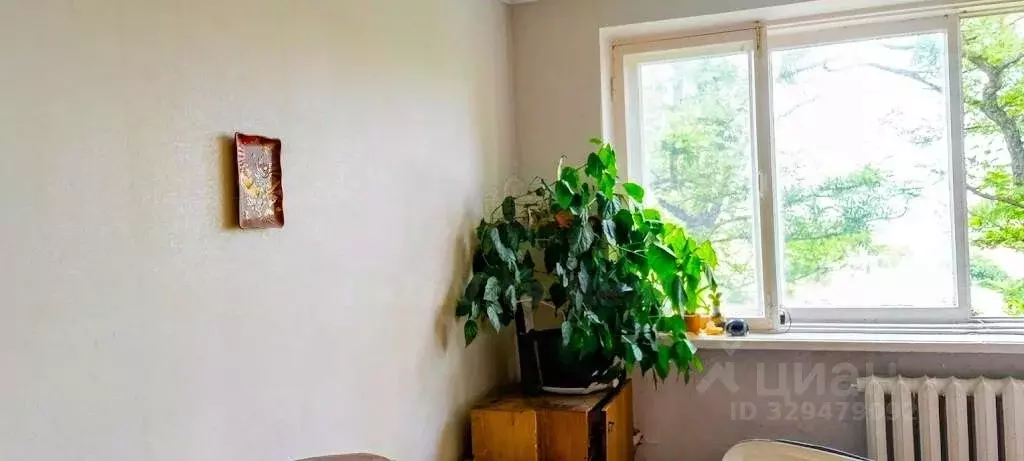Комната Севастополь ул. Николая Музыки, 86 (17.0 м) - Фото 2