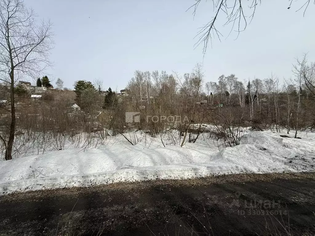 Участок в Новосибирская область, Новосибирск Сибиряк садовое ... - Фото 2