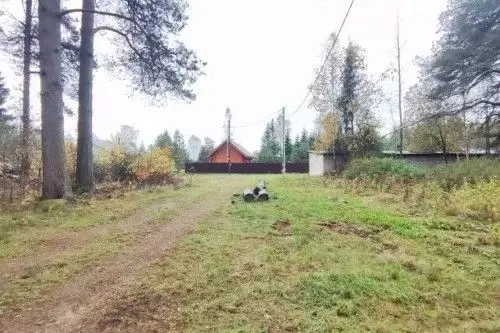Участок в Новгородская область, Новгородский район, Савинское с/пос, ... - Фото 2