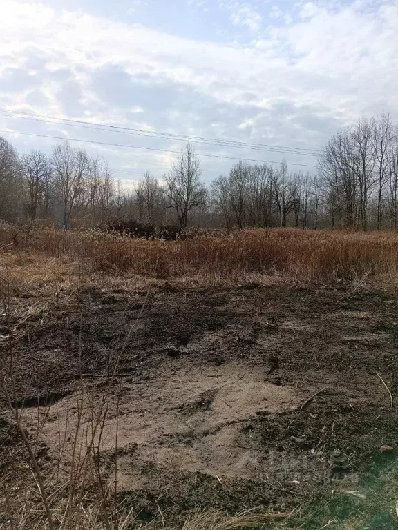 Участок в Калининградская область, Калининград Ивушка СНТ, 65 (7.9 ... - Фото 1