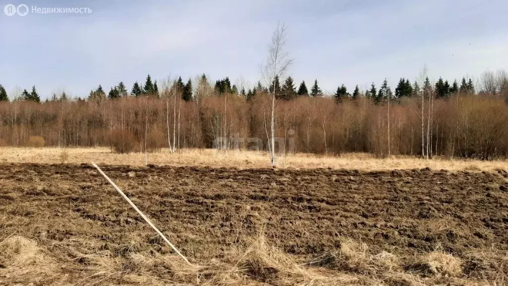 участок в ленинградская область, гатчинский муниципальный округ, . - Фото 0