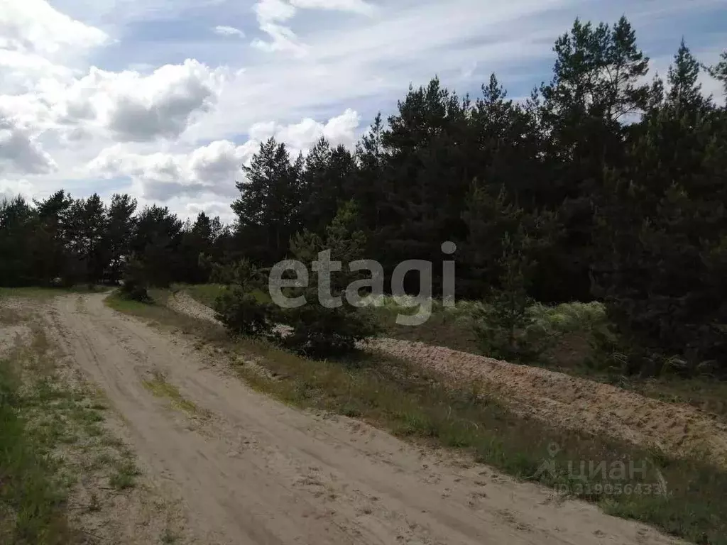 Участок в Саратовская область, Балашовский район, с. Большой Мелик ... - Фото 0