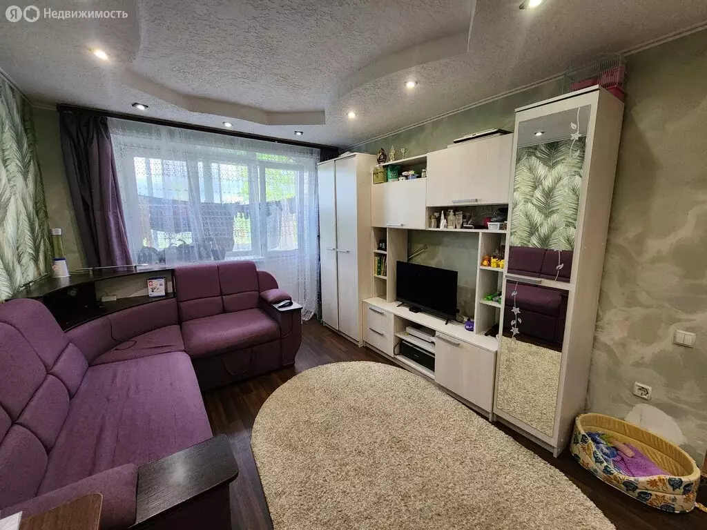 1-комнатная квартира: Великие Луки, улица Ботвина, 7к2 (30.3 м) - Фото 1