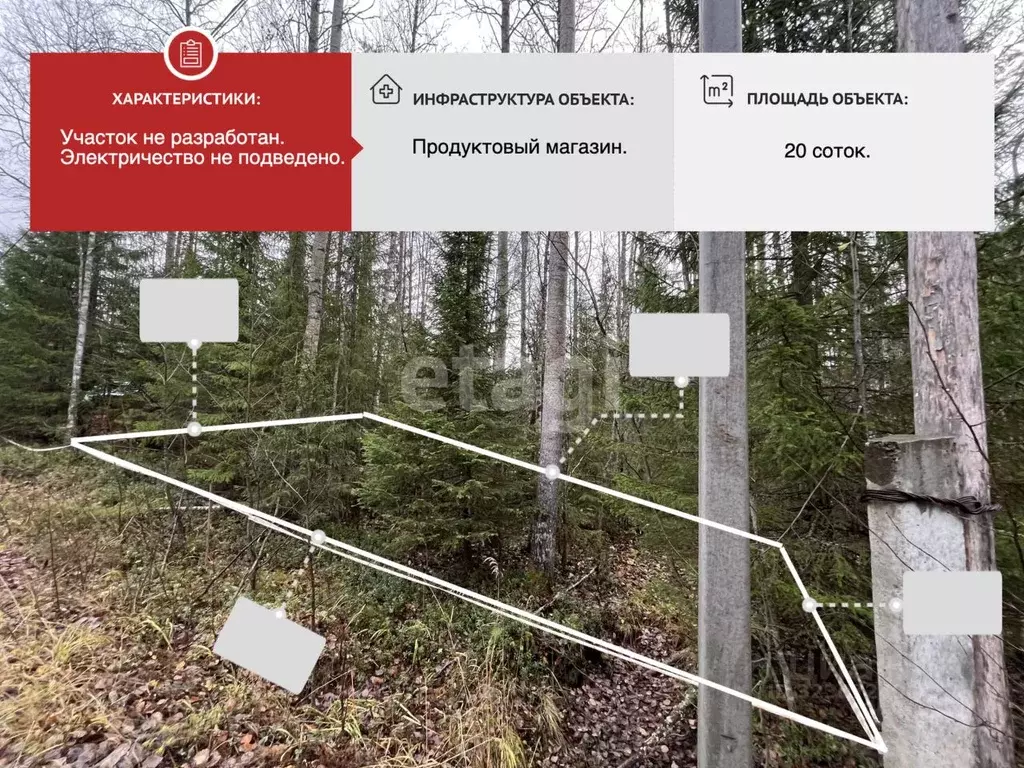 Участок в Архангельская область, Приморский муниципальный округ, ... - Фото 1