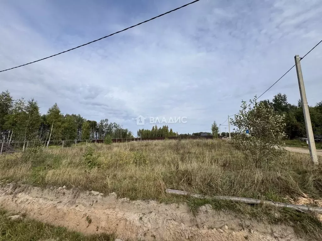 Участок в Ярославская область, Рыбинский муниципальный округ, д. ... - Фото 2