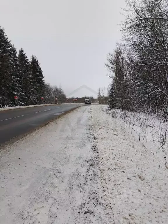 Участок в Калужская область, Медынский муниципальный округ, Михеево ... - Фото 1
