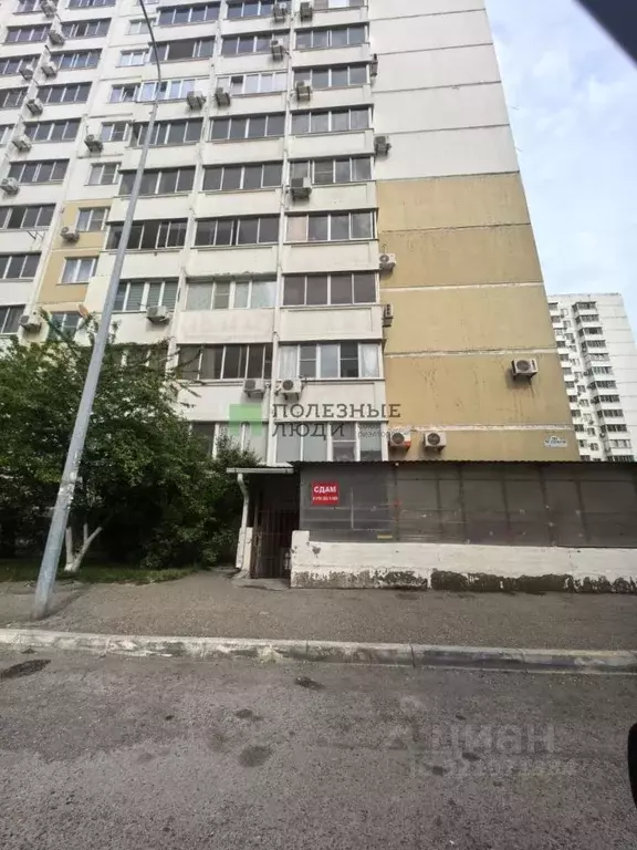 Офис в Краснодарский край, Новороссийск просп. Ленина, 107 (62 м) - Фото 1