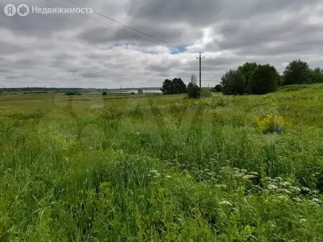 Участок в Палкинский район, Новоуситовская волость, деревня Сопки ... - Фото 2