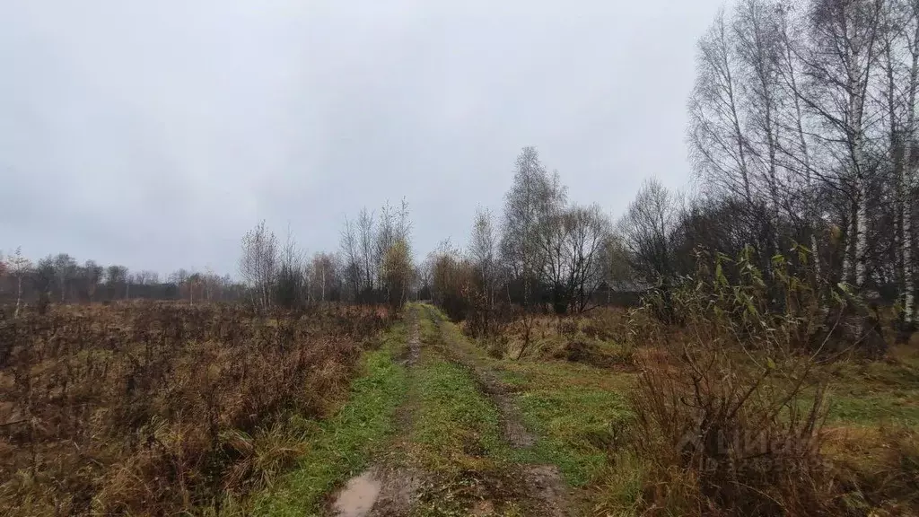 Участок в Московская область, Раменский муниципальный округ, д. ... - Фото 2