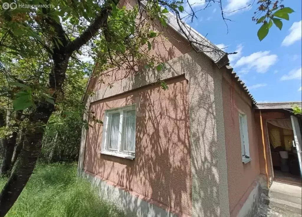 Дом в Трудовское сельское поселение, СПК Нива, Линейная улица (54 м) - Фото 2