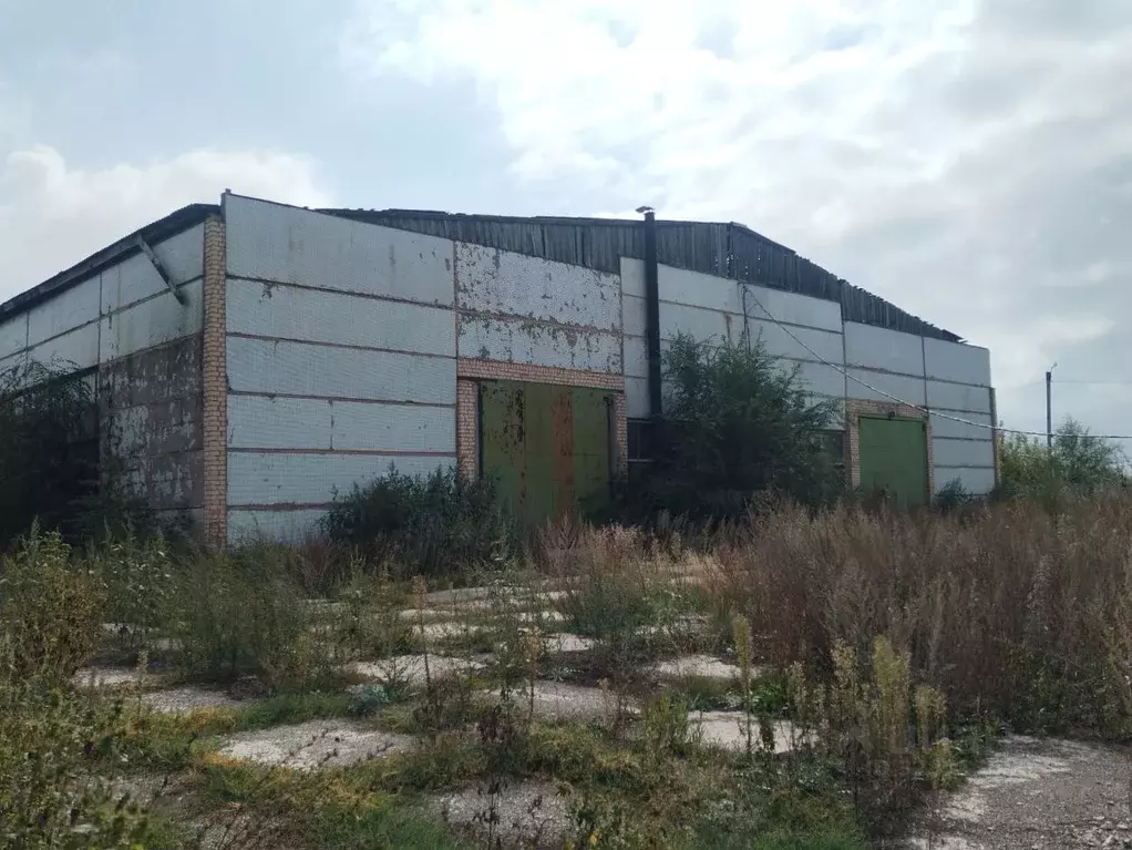 Производственное помещение в Самарская область, Отрадный ул. ... - Фото 1