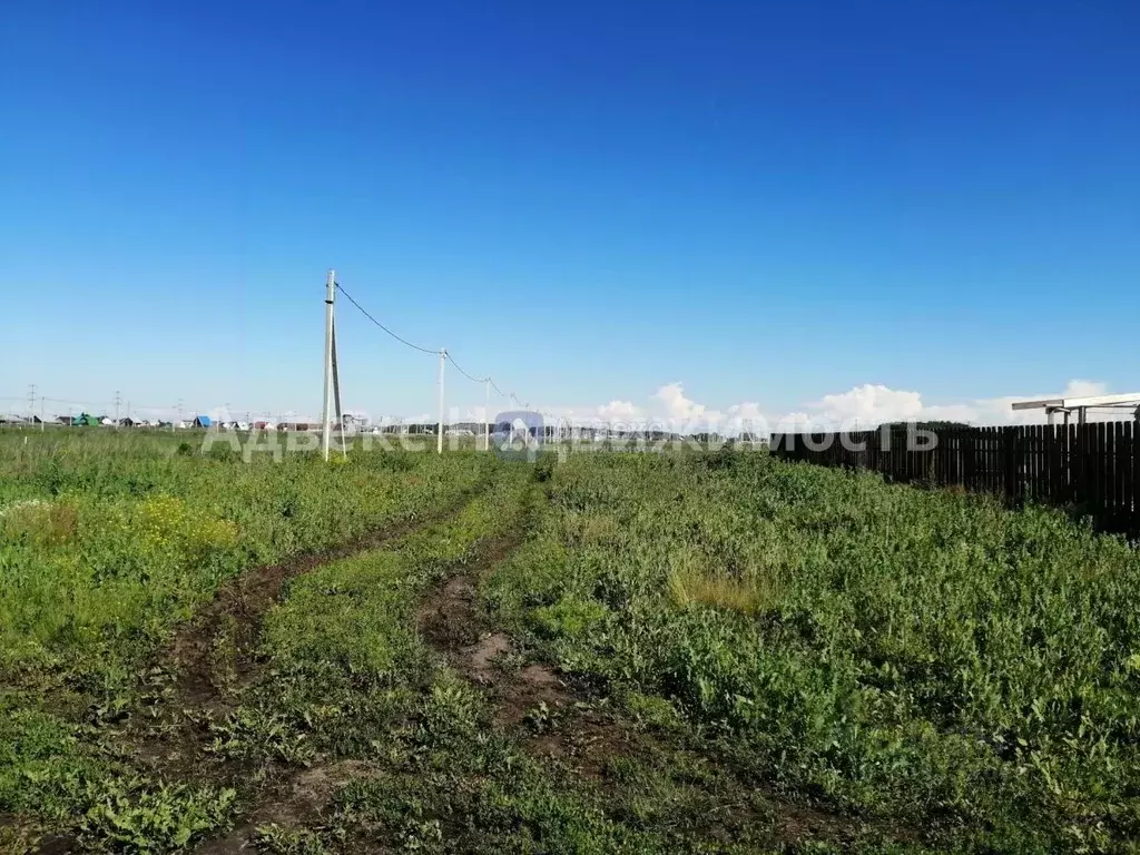 Участок в Тюменская область, Тюменский район, с. Червишево  (8.36 ... - Фото 0