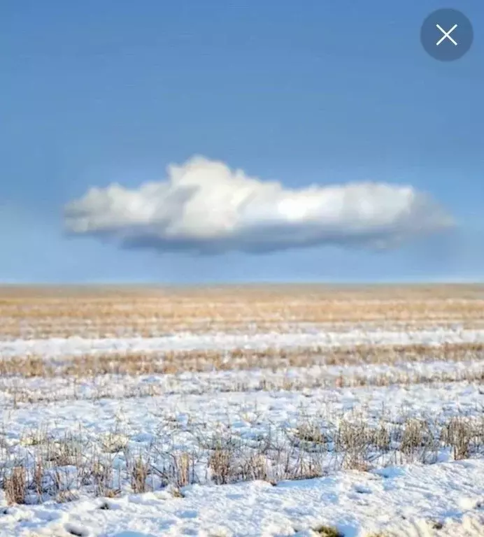 Участок в Новосибирская область, Новосибирский район, Ярковский ... - Фото 2