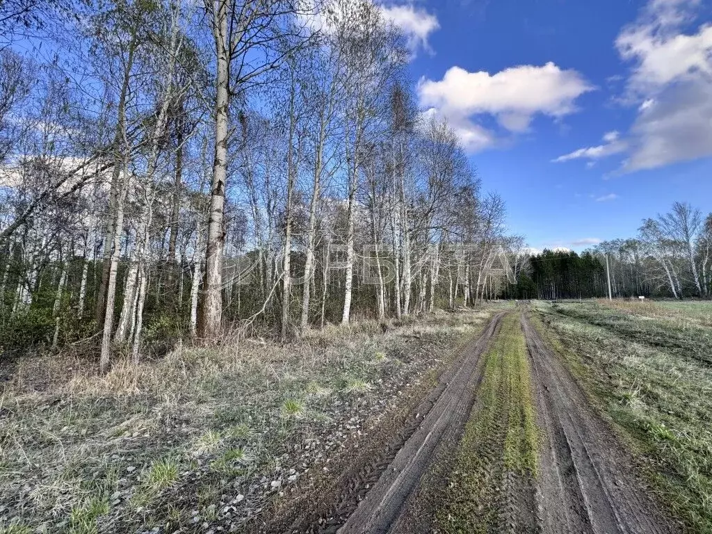 Участок в Тюменская область, Тюменский район, д. Елань 14 (6.0 сот.) - Фото 1