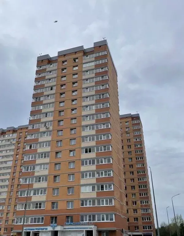 1-к кв. Ленинградская область, Сосновый Бор Пионерская ул., 2 (36.0 м) - Фото 2