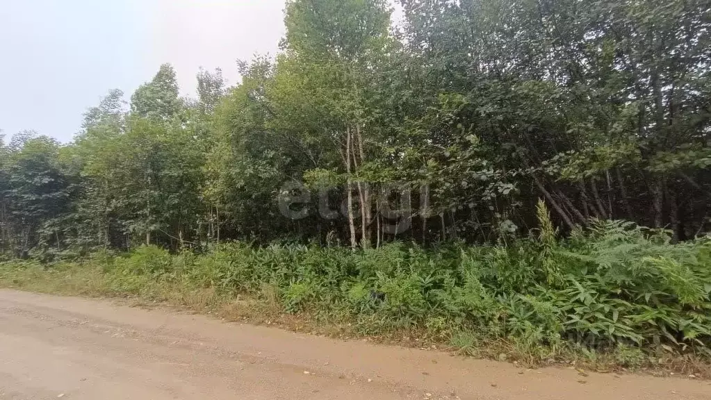 Участок в Сахалинская область, Южно-Сахалинск  (15.0 сот.) - Фото 1