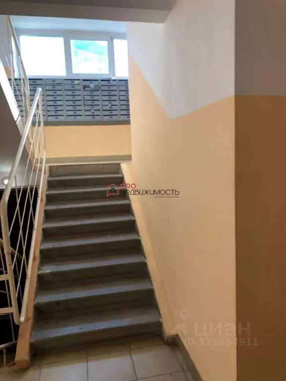 Студия Новосибирская область, Новосибирск ул. Татьяны Снежиной, 39/1 ... - Фото 2