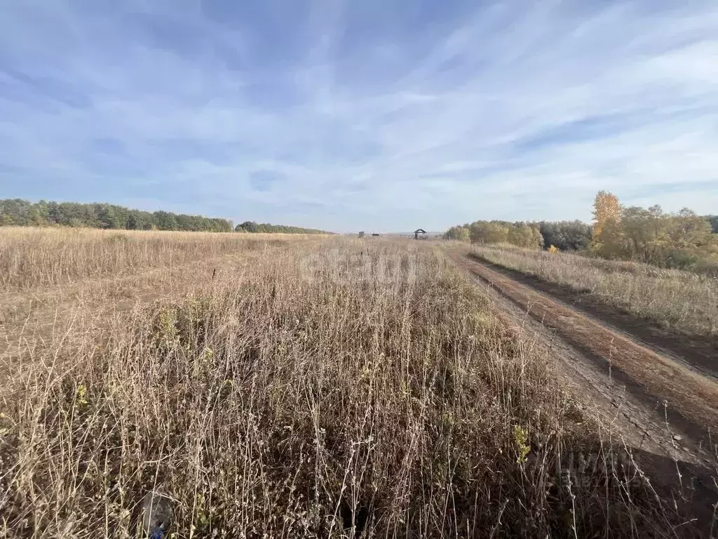 Участок в Мордовия, Саранск  (10.0 сот.) - Фото 1