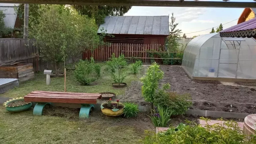 Участок в Тюменская область, Тюмень Плодовое СНТ, ул. Сосновая, 5 (4.0 ... - Фото 2