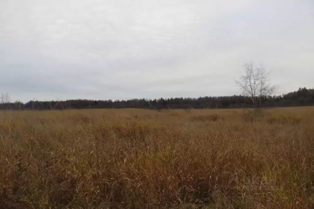 Участок в Московская область, Шаховская муниципальный округ, с. Белая ... - Фото 1