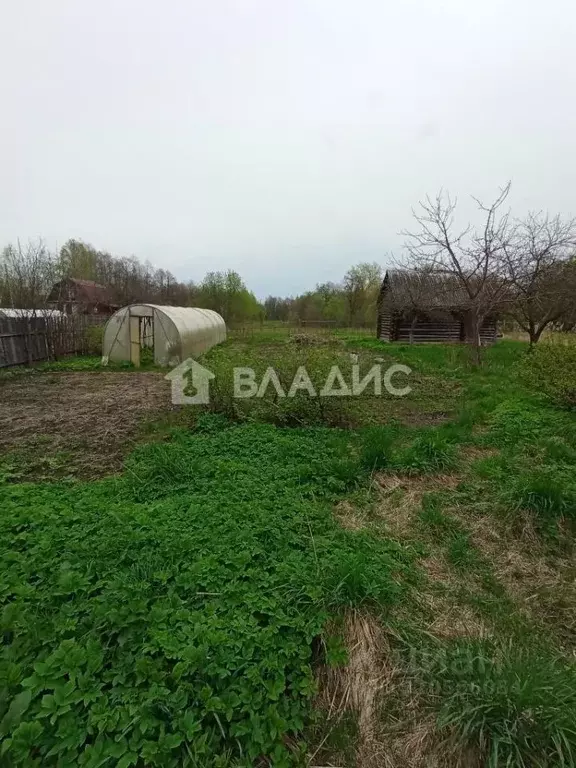 Участок в Владимирская область, Камешковский район, Второвское ... - Фото 1