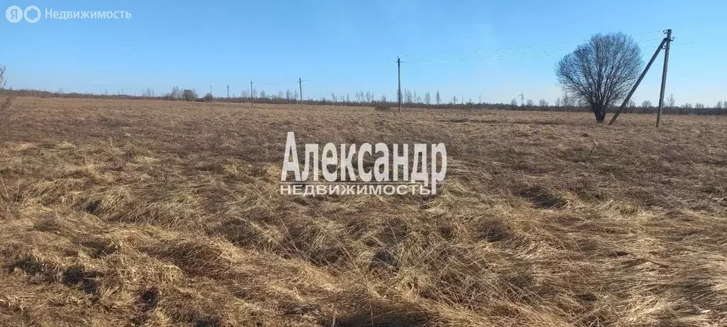 Участок в Наговское сельское поселение, деревня Пуговкино (55.87 м) - Фото 1