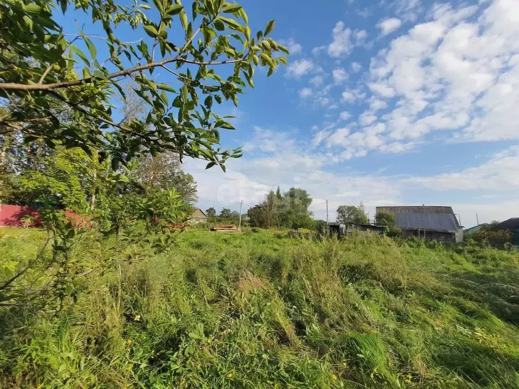 Участок в Еврейская автономная область, Смидовичский район, пос. ... - Фото 1