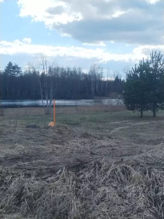 Участок в Новгородская область, Хвойнинский муниципальный округ, д. ... - Фото 1