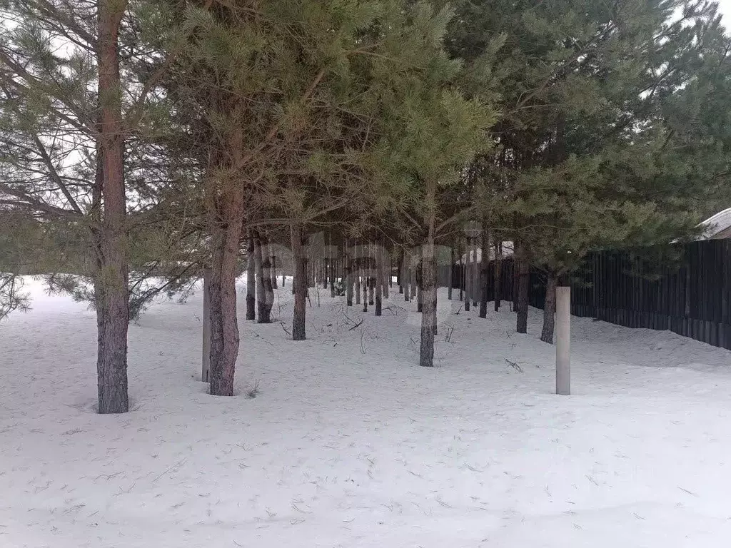 Участок в Московская область, Орехово-Зуевский городской округ, д. ... - Фото 1