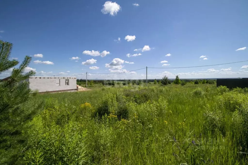 Участок в Нижегородская область, Богородский муниципальный округ, с. ... - Фото 1