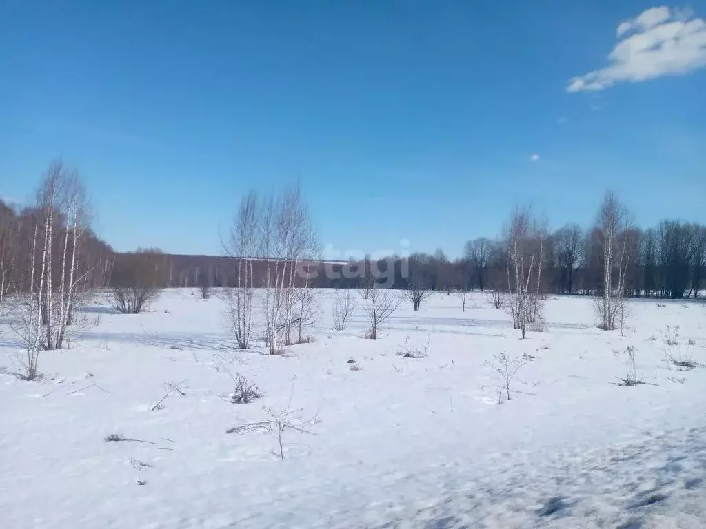 участок в нижегородская область, дальнеконстантиновский муниципальный . - Фото 0