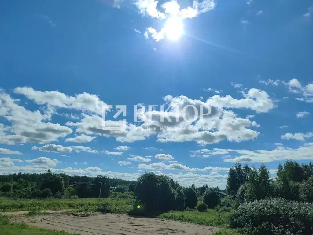 Участок в Костромская область, Кострома ул. Шарьинская (10.2 сот.) - Фото 2